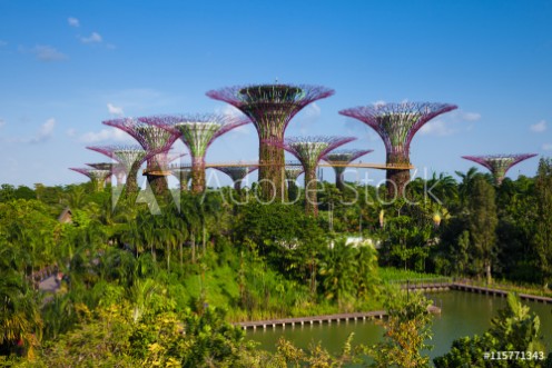 Picture of Daytime view of the Supertree grove at Gardens By The Bay Singa